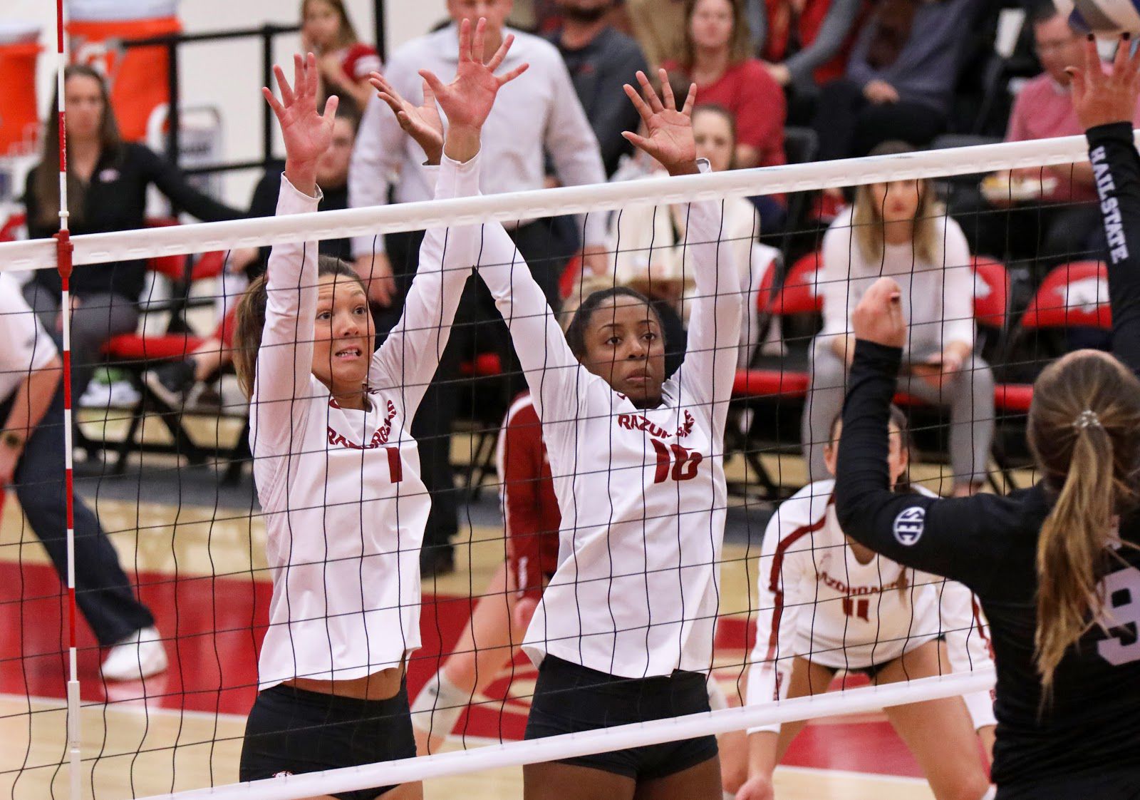 VB v Miss State